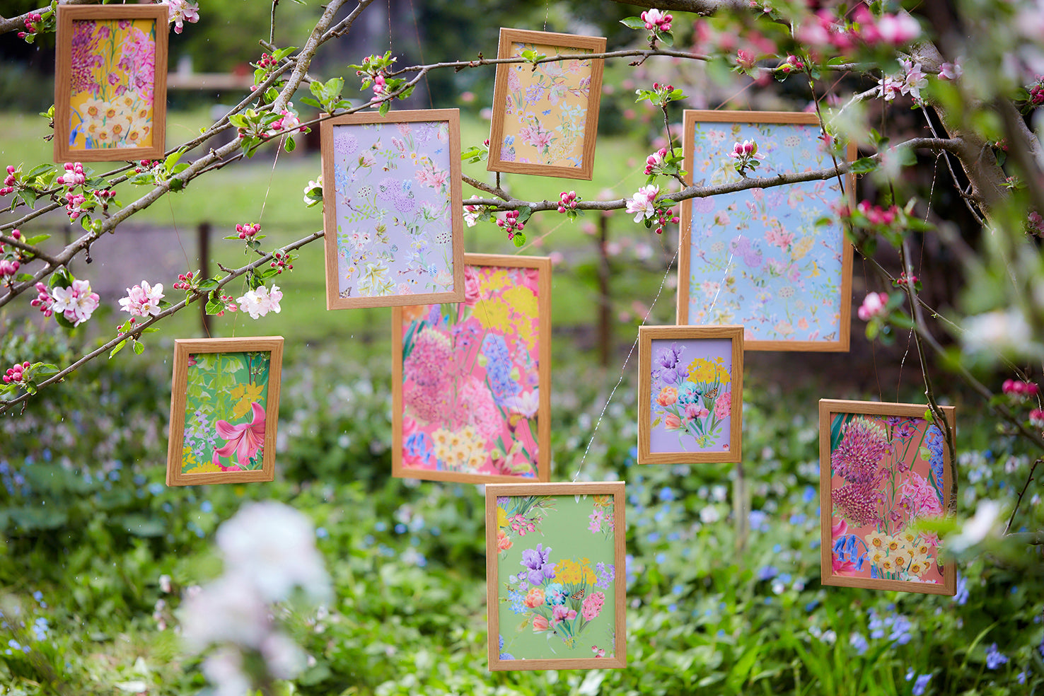 selection of nature inspired hand illustrated wallpapers framed and hanging from a tree.
