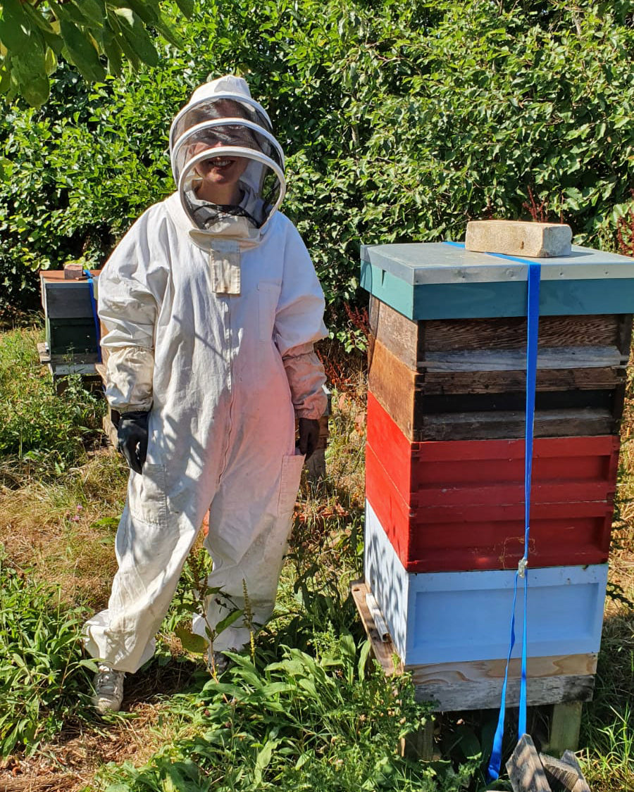 exploring local traditional honey bees in norfolk by co founder rebecca bauldry 