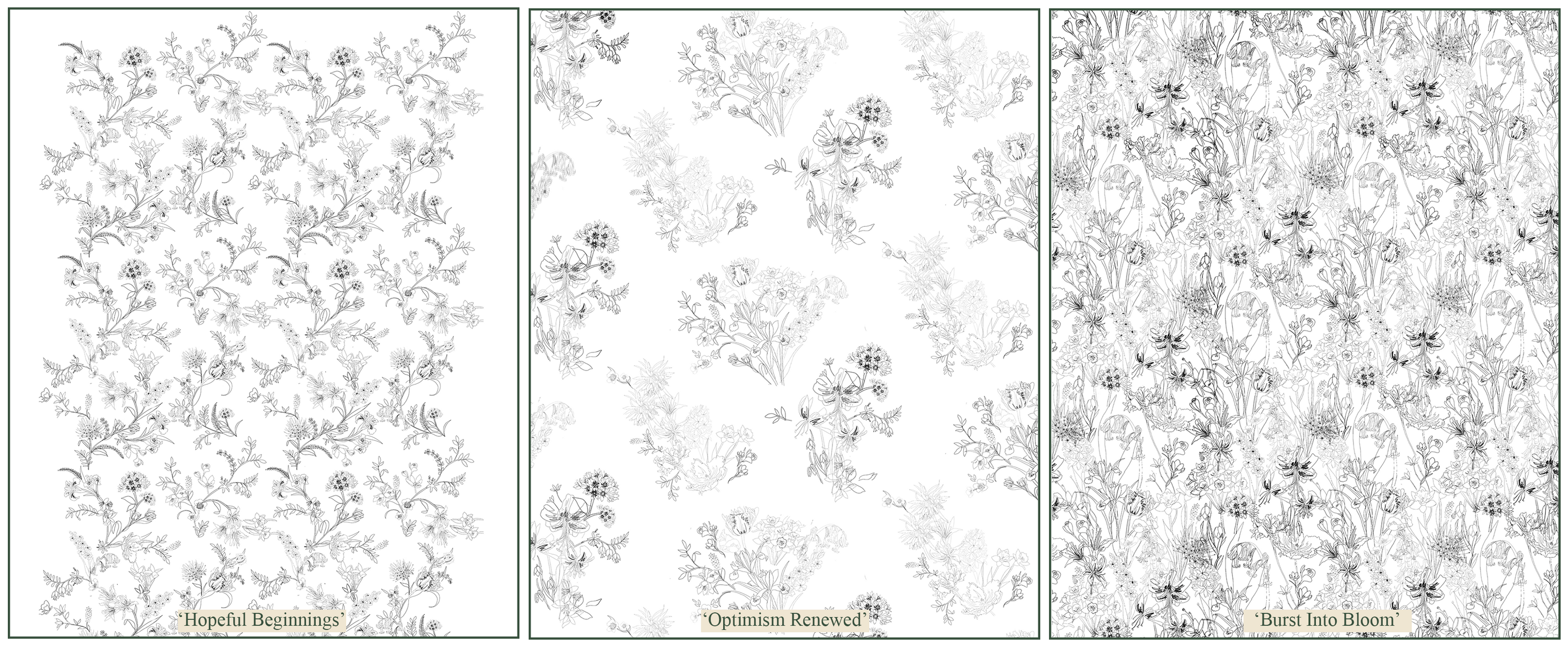 first sketches of bauldry botanicals reside with nature collection