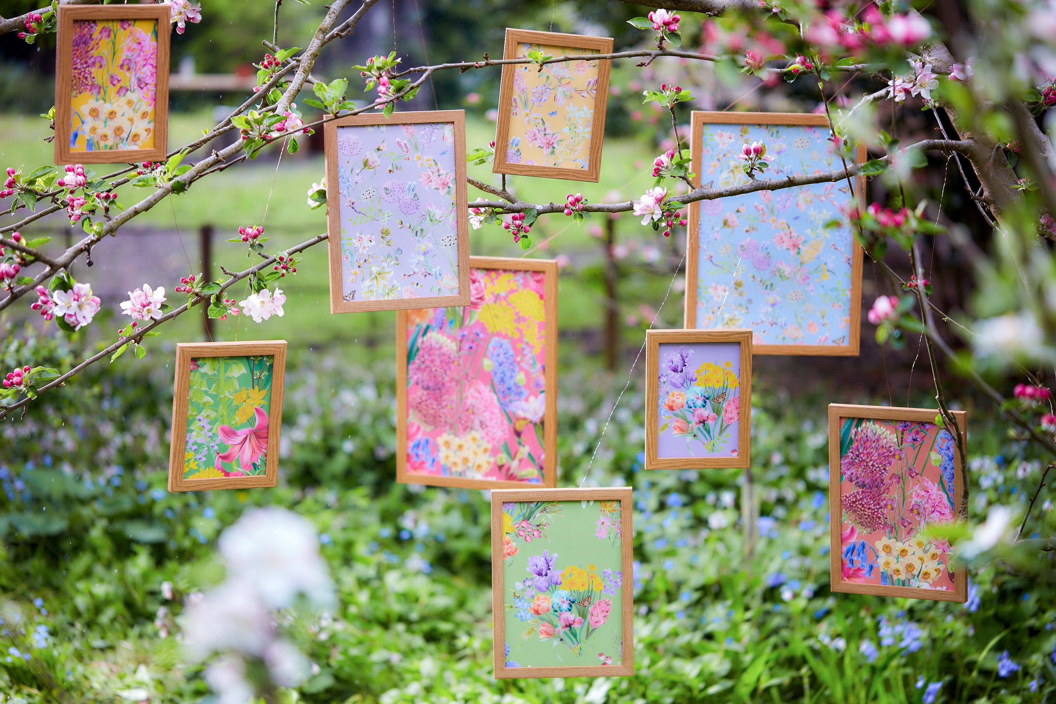 Hopeful Beginnings botanical wallpaper displayed in hanging frames among spring blossom branches in a garden setting.